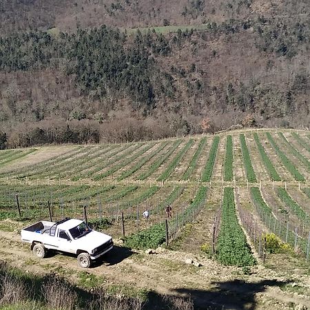 Borgo Macereto Villa Dicomano Buitenkant foto