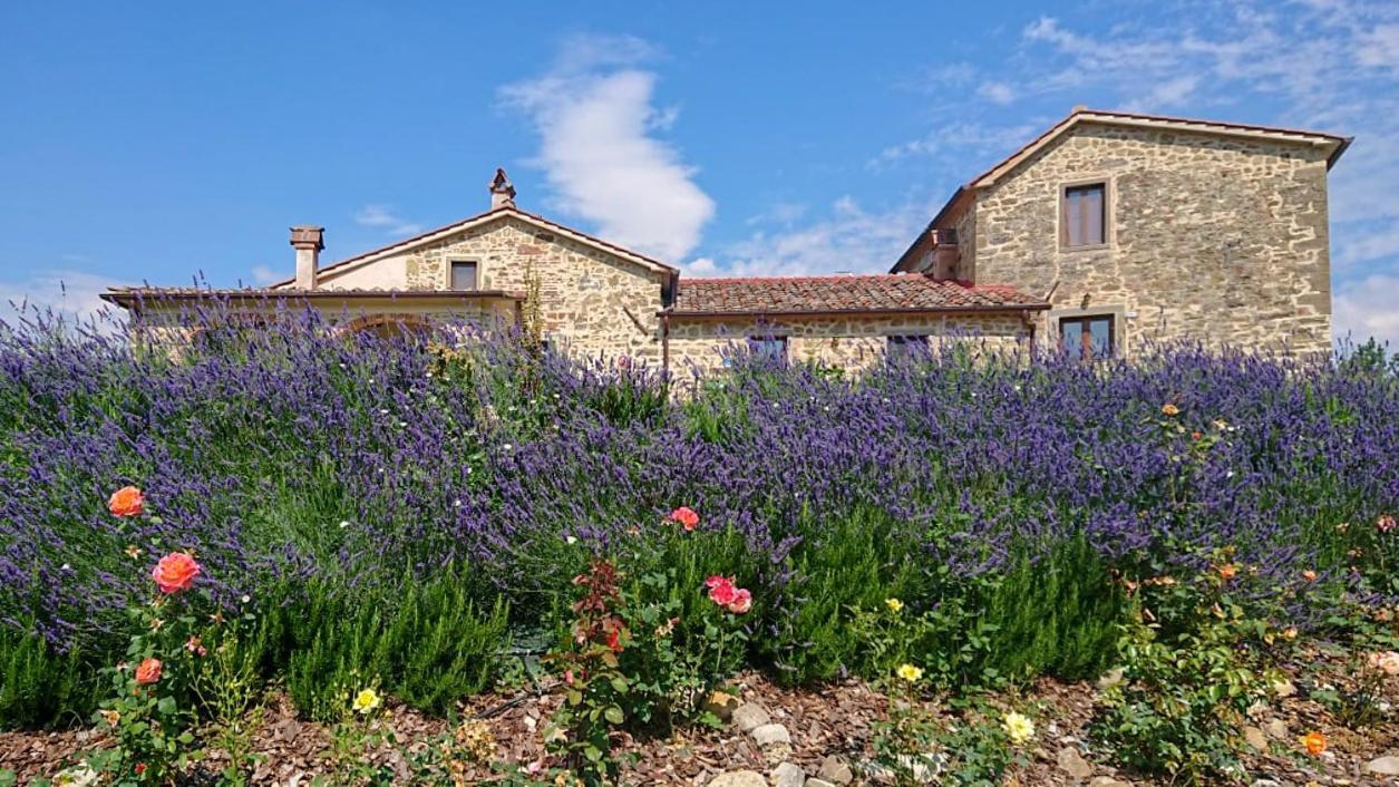 Borgo Macereto Villa Dicomano Buitenkant foto