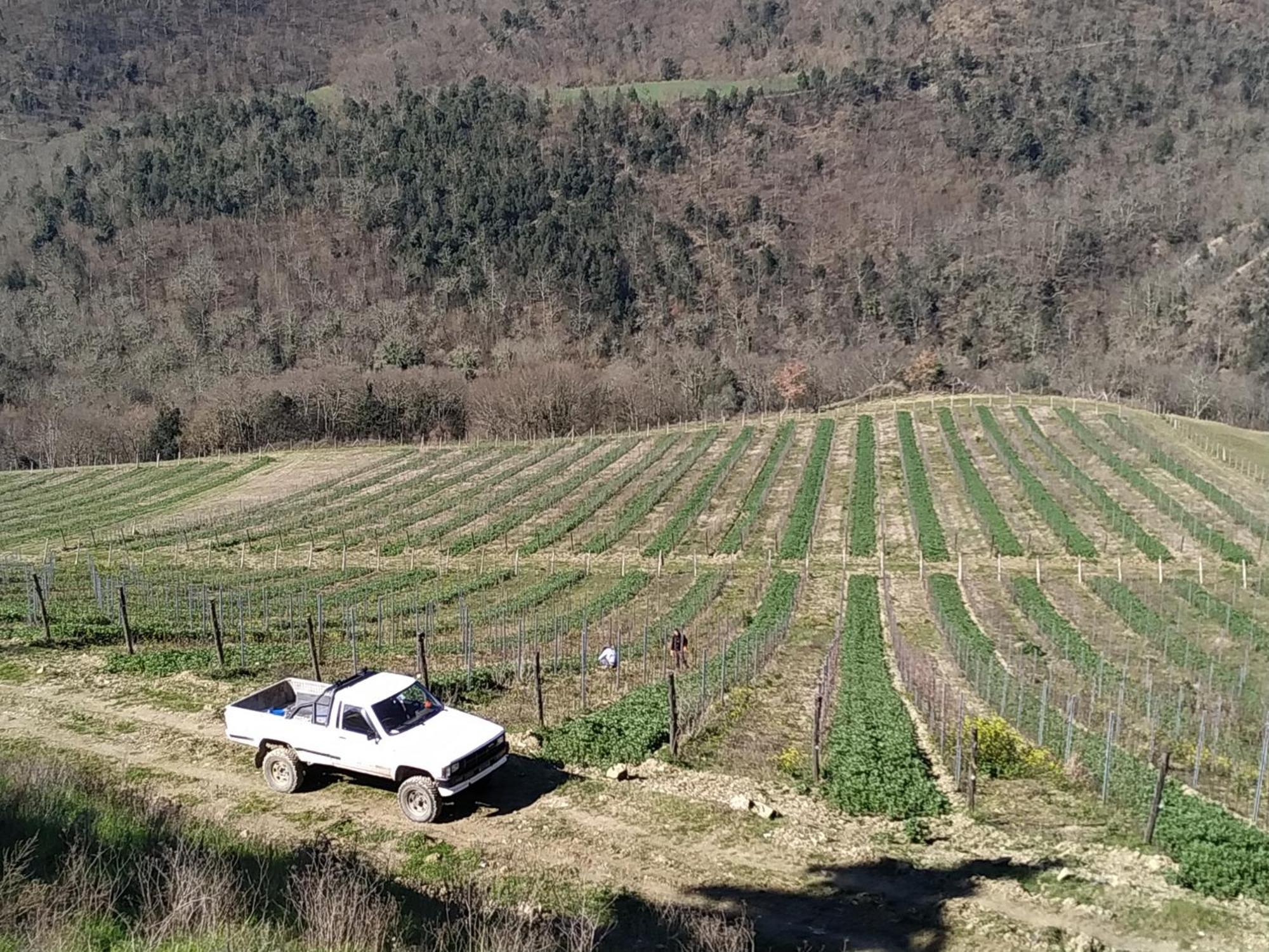 Borgo Macereto Villa Dicomano Buitenkant foto
