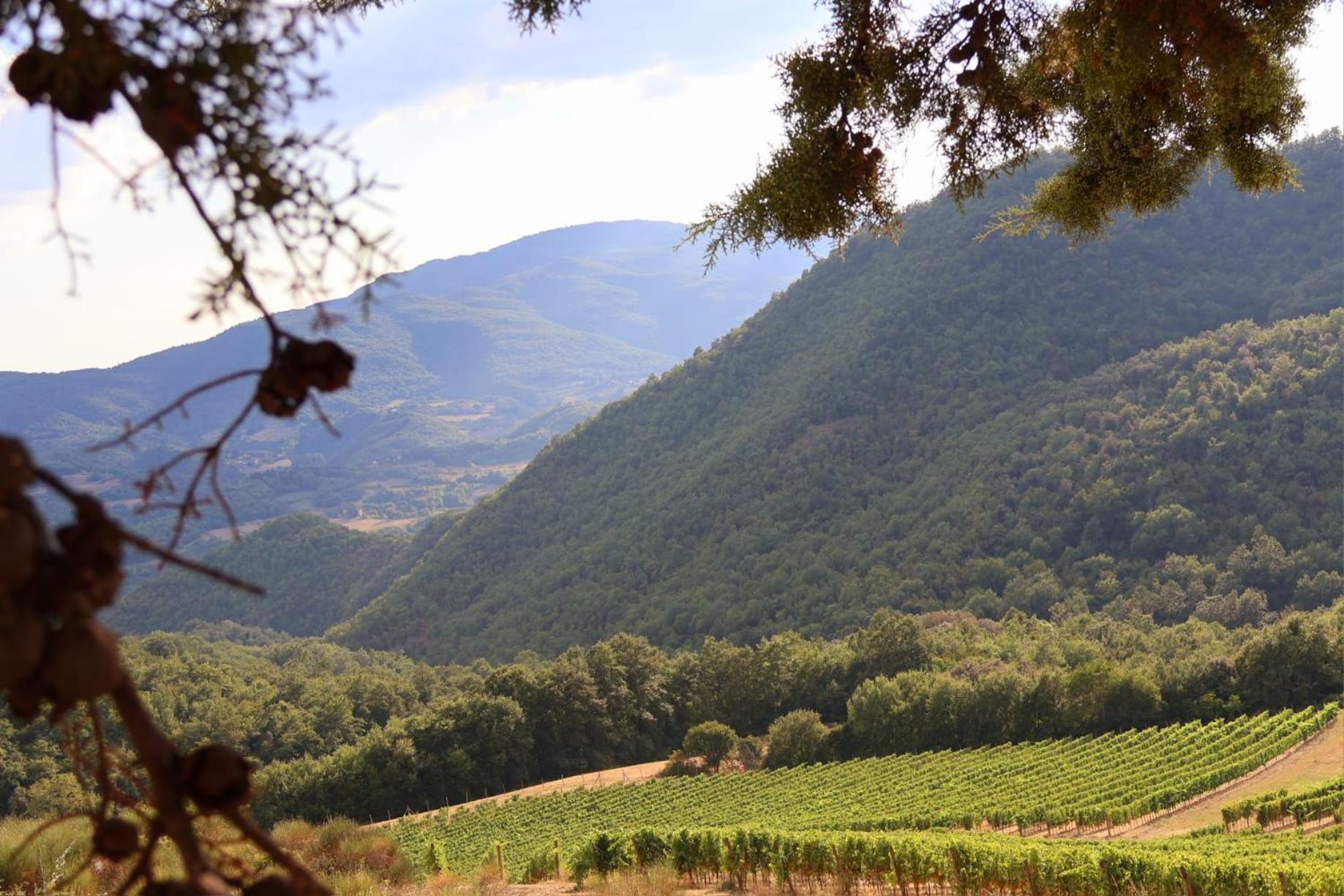 Borgo Macereto Villa Dicomano Buitenkant foto